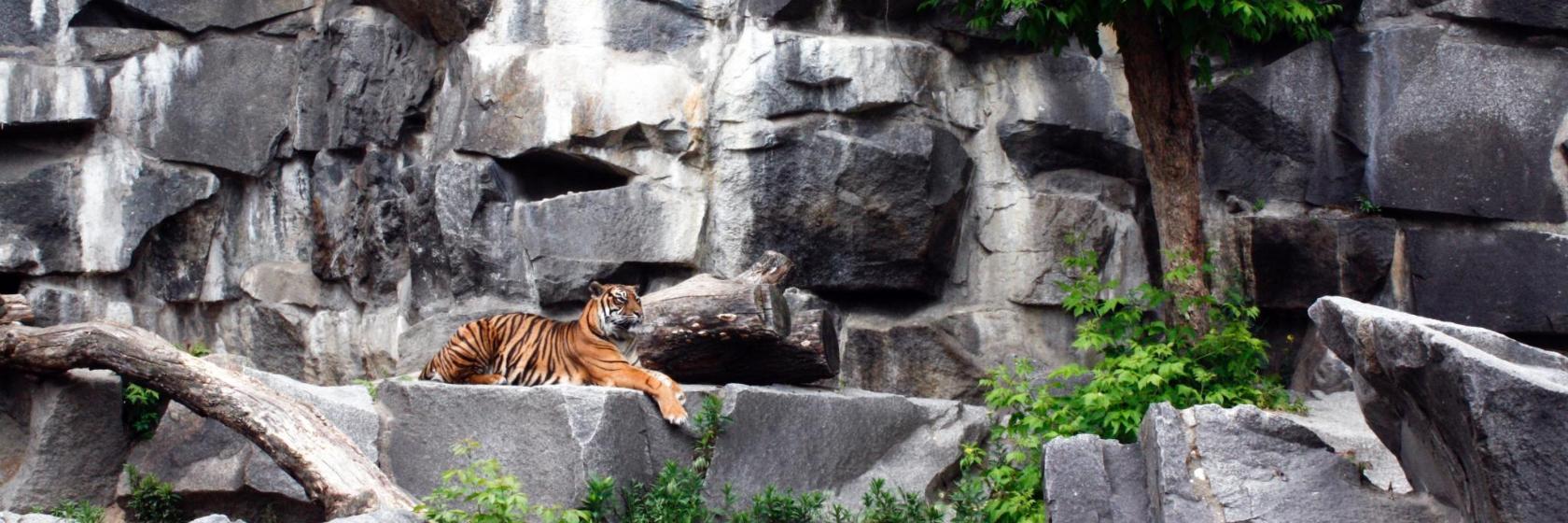 Zoológico Tierpark de Berlín